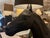 Textile Sofia Lagerkvist and Anna Lindgren for Moooi Horse Lamp For Sale - Image 7 of 13