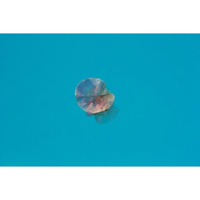 Istan Petal by Stuart Möller A Bougenvillia petal floats on the surface of a swimming pool. Archival Pigment Print signed...