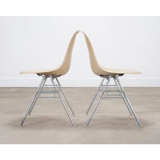 Set of Four Herman Miller DSS Mid-Century Fiberglass Side Chairs For Sale In Sacramento - Image 6 of 18