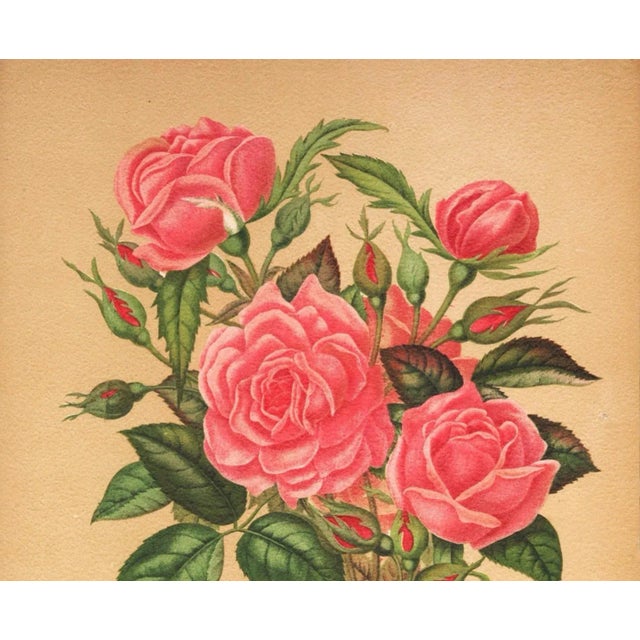 This is a French botanical chromolithograph of roses that dates to 1869. It came from an unbound album, Le Livre d'Or des...