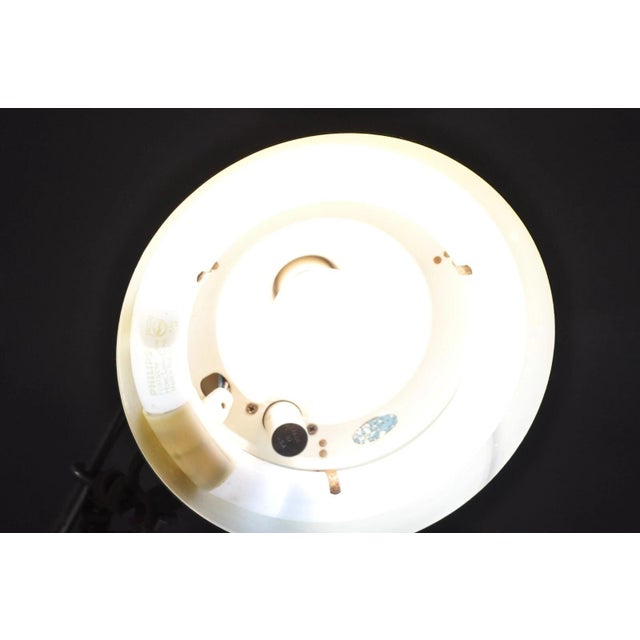 Mid 20th Century Vintage Industrial Modern Amplex Swivelite Telescoping Trombolite Desk Lamp For Sale - Image 9 of 12