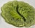Avocado Leaf Server For Sale - Image 4 of 8