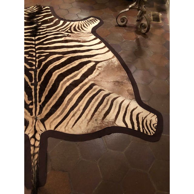 1960s Vintage Burchell Zebra Rug Chairish