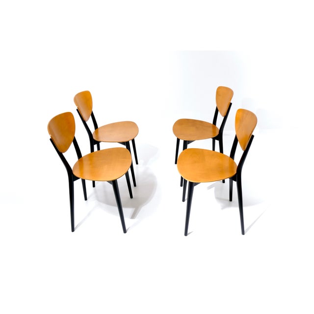 Vintage Swiss Chairs by Kurt Thut, 1953, Set of 4 For Sale - Image 13 of 18