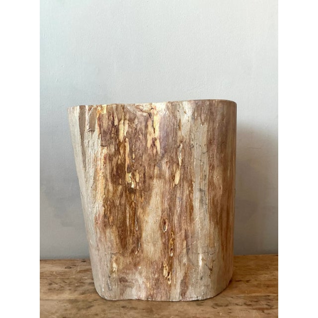 Vintage Boho Petrified Wood Stool For Sale In West Palm - Image 6 of 8