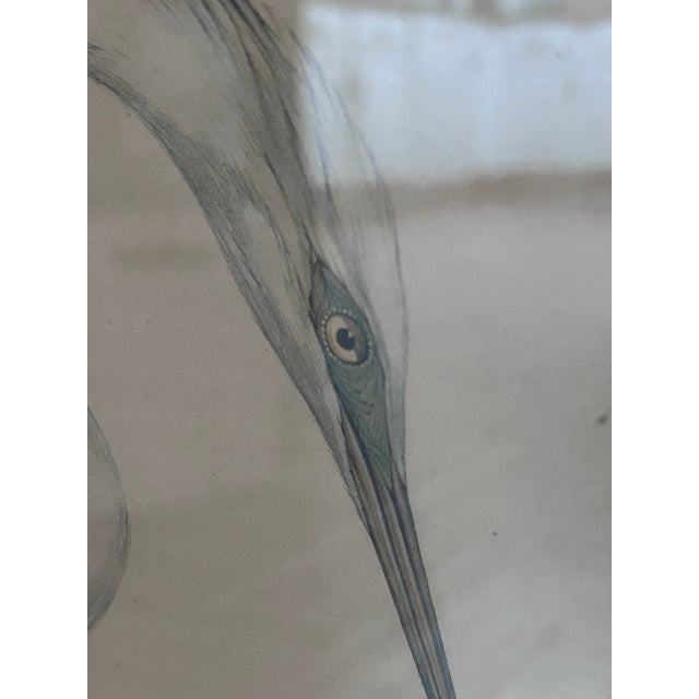 Rare Antique Edward Lear Great Egret Hand-Colored Lithograph, John Gould, 1830s For Sale - Image 11 of 12