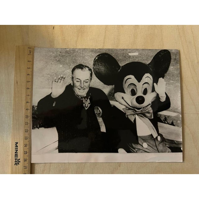 Walter Walt Disney, Original Press Images, 1950s, Photographs, Set of 7 For Sale - Image 13 of 14