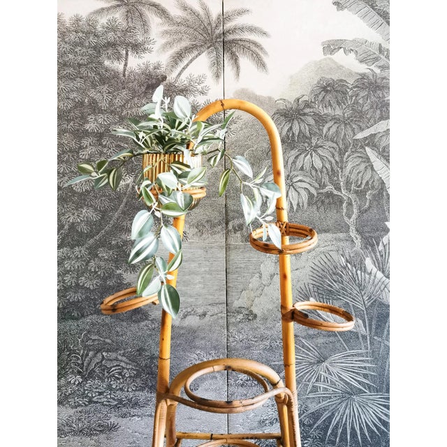 Vintage Rattan Plant Stand, Italy, 1960s For Sale - Image 11 of 12