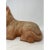 Late 19th Century Terracotta Bulldog For Sale - Image 4 of 5