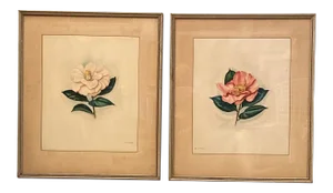 Early 20th Century Floral Watercolor Paintings by Anne Cargill, Framed - a Pair