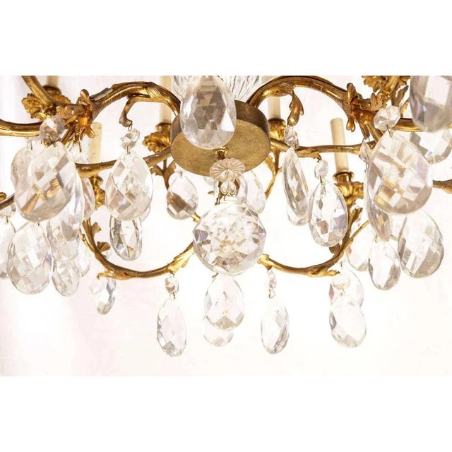 French Gilt Bronze and Cut Glass 14-Light Chandelier, 19th Century For Sale - Image 3 of 7