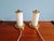 Mid-Century Modern Bedside Lamps in Brass and Cream Opaline Glass, 1950, Set of 2 For Sale - Image 15 of 16