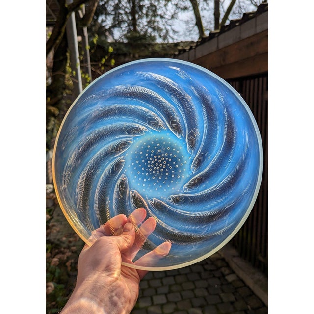 1930s Opalescent Glass Fish No. 1 Plate from René Lalique, France, 1931 For Sale - Image 5 of 8
