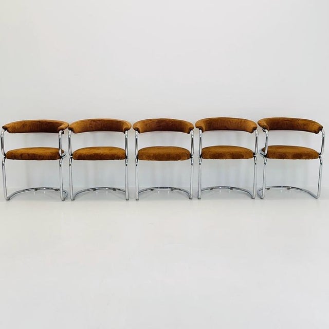 Giotto Stoppino Mid-Century Modern Cognac Velvet Dining Chair by Giotto Stoppino, Italy, 1970s For Sale - Image 4 of 18