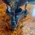Antique Painted and Gilded Samovar Lamp For Sale - Image 10 of 18