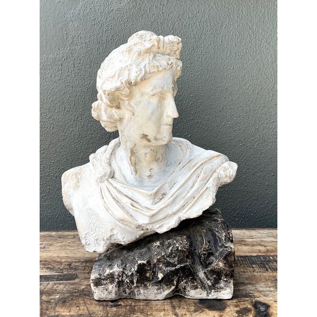 Neoclassical Vintage Cast Stone Bust of Apollo Belvedere For Sale - Image 3 of 18