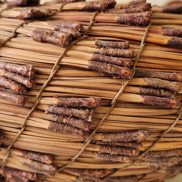 Torry Pine Needle Basket by Fran Kraynek Prince & Neil Prince This is a handwoven Torrey pine needle basket created by...
