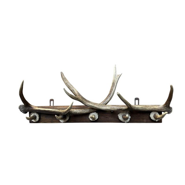 German antler rack with roe deer antlers and rosettes.