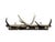 German antler rack with roe deer antlers and rosettes.