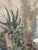 Lars Falk, Still Life with Glass Bottle, 1944, Oil on Panel, Framed For Sale - Image 13 of 18