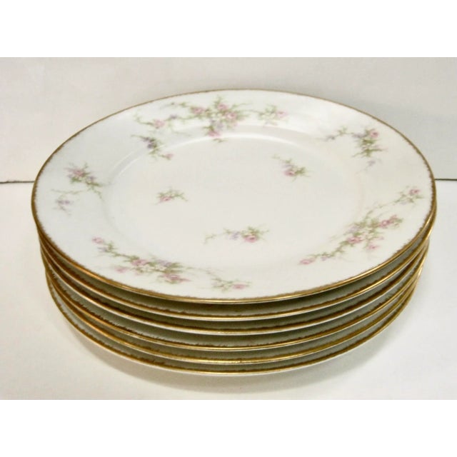 Gorgeous French Limoges hand decorated luncheon/dinner plates They are perfect for a garden part, brunch or small...