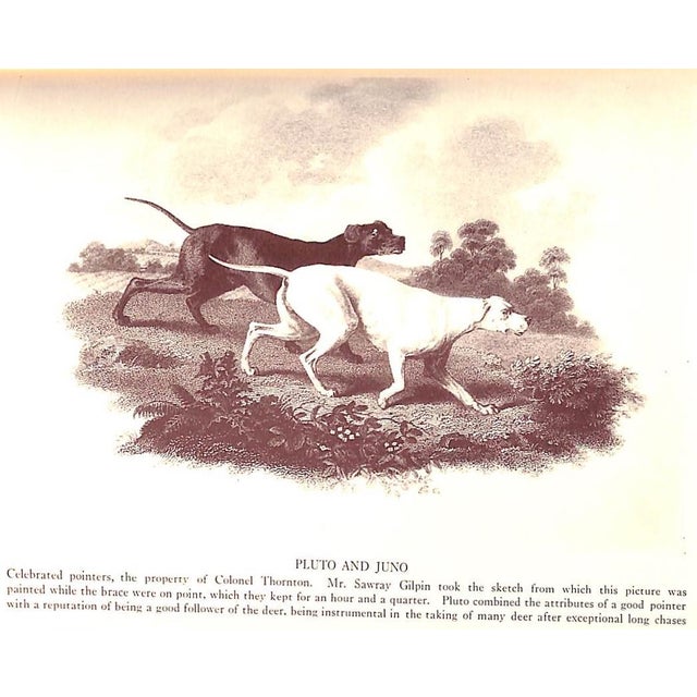Paper "A Sporting Family of the Old South: Reminiscences of an Old Sportsman" 1936 Smith, Harry Worcester For Sale - Image 7 of 11