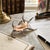 Offering a vintage spider conch shell dipped in silver alloy, circa Late 20th Century. This unique seashell has been...