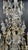 Antique French Chandelier, 1750 For Sale - Image 6 of 11