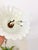 Italian Hand-Painted Tole Floral Chandelier with Matching Wall Sconces, 1960s, Set of 3 For Sale - Image 13 of 18