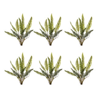Varigated Fern Foliage Bush (Set of 6) For Sale
