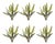 Varigated Fern Foliage Bush (Set of 6) For Sale