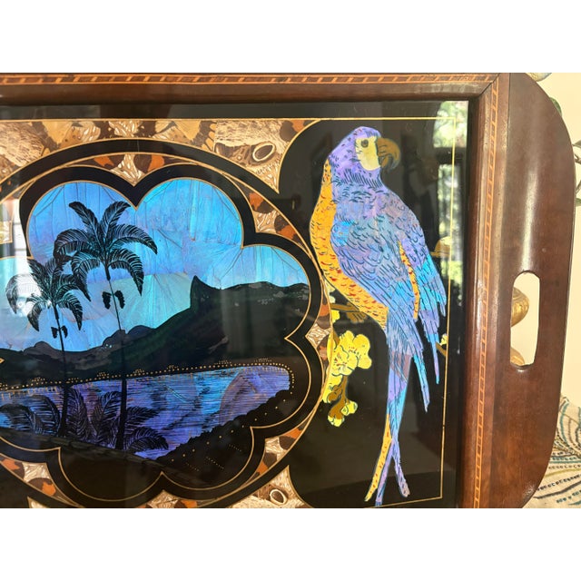1940s Vintage Brazilian Tray With Butterfly Wing Mosaic and Parrots For Sale - Image 5 of 9