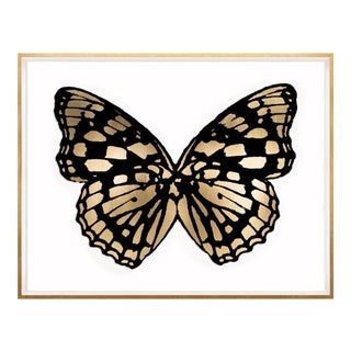 Butterfly Royale, Black 1 Framed Artwork For Sale