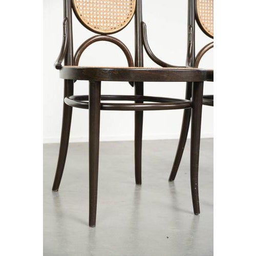 Vintage Long John High Back Bentwood Chairs with Webbing Seats from Thonet, Set of 6 For Sale - Image 15 of 17