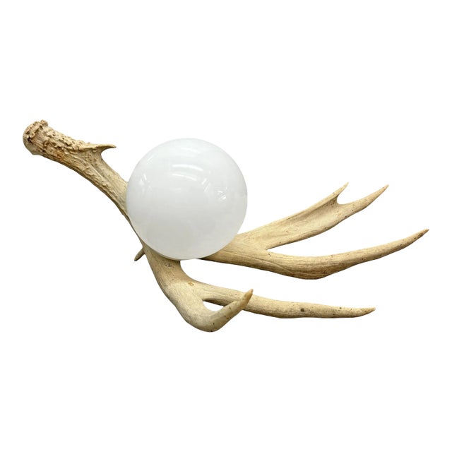 Deer Antler Lamp For Sale