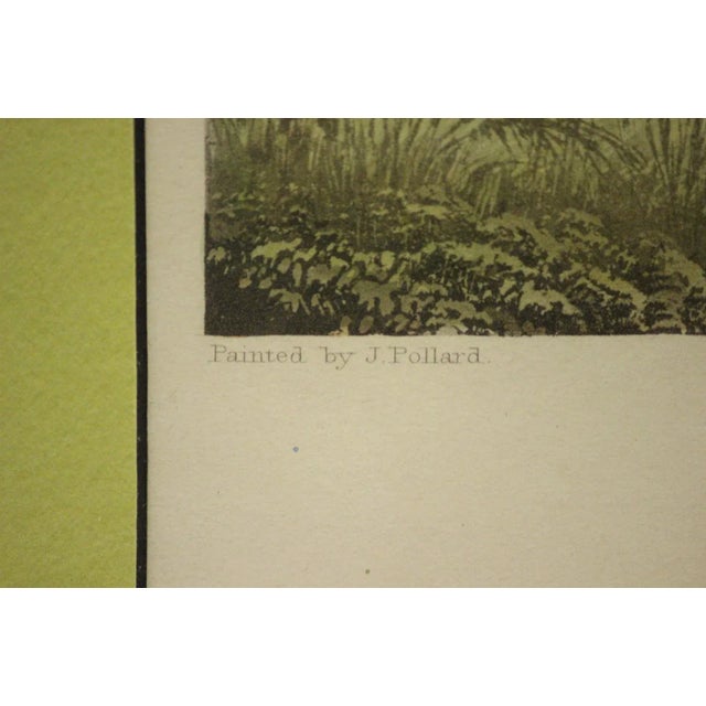 "Live-Bait Fishing for Jack" For Sale In New York - Image 6 of 7