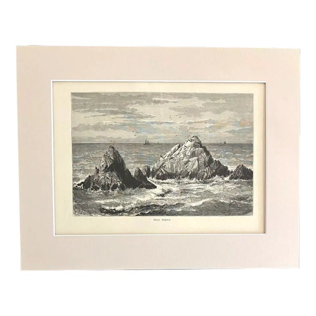 Antique 1874 Wood Engraving "Seal Rocks" Ca in 11x14 Mat For Sale