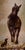 In "Puppy & the Beast," a playful juxtaposition unfolds between a small, curious puppy and a majestic horse, both rendered...