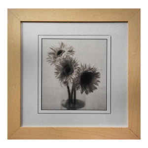 1990s Gerbera Trio Photograph, Framed