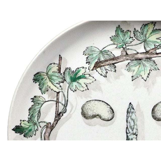 Green Piero Fornasetti Arcimboldesca Vegetable Face Pottery Plate, No. 12, After Giuseppe Arcimboldo For Sale - Image 8 of 9