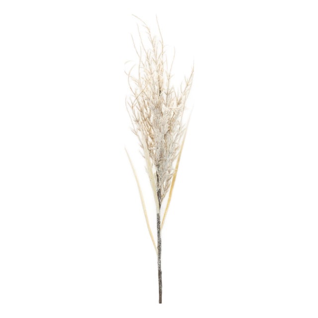 Flocked Twig Branch (Set of 6) For Sale