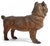 Antique Austrian Terracotta Standing Pug Dog Sculpture W Glass Eyes.