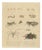 Brodtmann, Fleas, Tarantula & Spiders, 1816, Lithograph For Sale