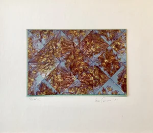 1982 Vera Simons Peacock Feathers Photo Mosaic Collage Photograph