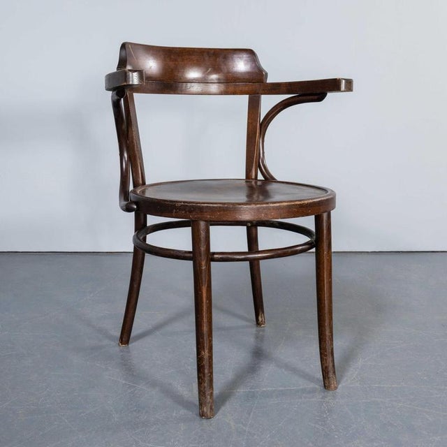 Large Vintage Open Back Bentwood Dining Armchair, 1960s For Sale - Image 11 of 11