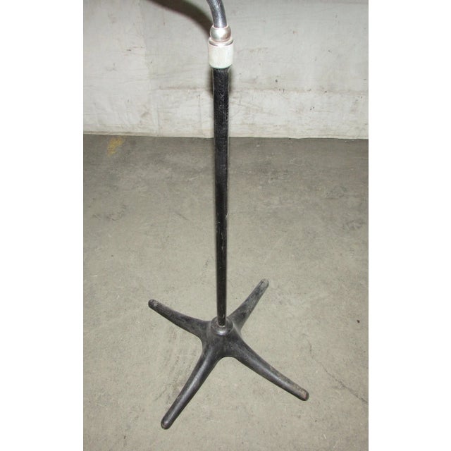 Reclaimed 5 Ft. Curved Top Floor Stand Holder For Sale - Image 6 of 7