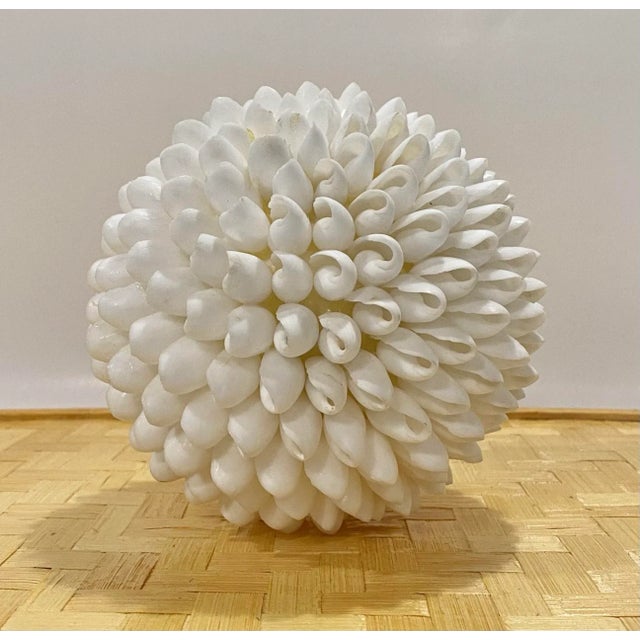 Nautical 1997 Sea Shell Decorative Ball, White For Sale - Image 3 of 8