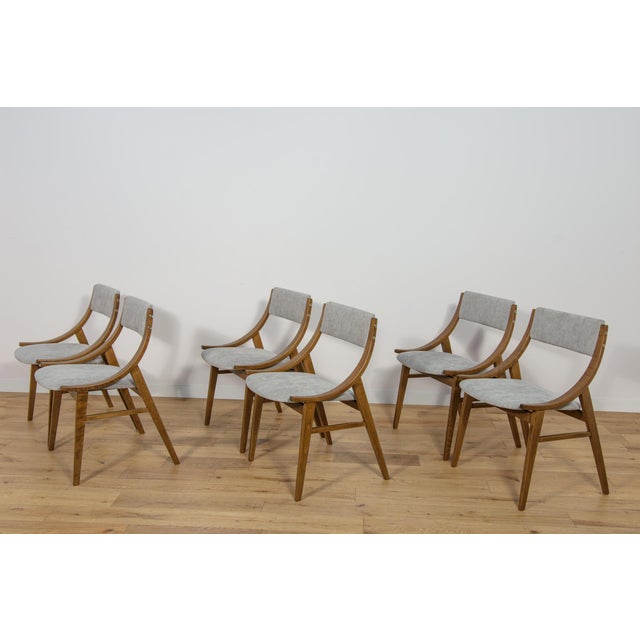 1960s Polish Ski Jumper Chairs from Zamojska, 1970s, Set of 6 For Sale - Image 5 of 18