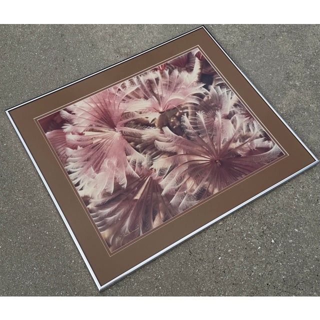 Late 20th Century David Waselle “Fan Dancers” Signed Artist Proof Underwater Photograph For Sale - Image 5 of 10