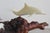 1960s Vintage John Perry Dolphin Pod Sculpture on Natural Burlwood Base – 14" For Sale - Image 5 of 12